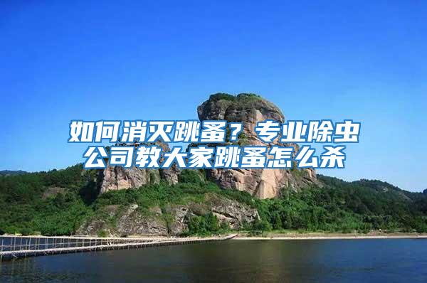如何消滅跳蚤？專業除蟲公司教大家跳蚤怎么殺