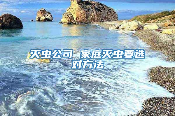 滅蟲公司 家庭滅蟲要選對(duì)方法