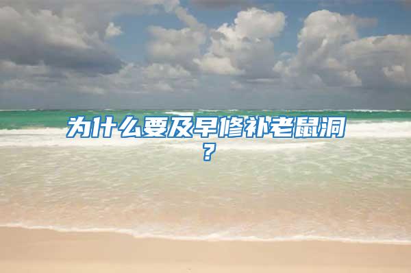 為什么要及早修補(bǔ)老鼠洞？