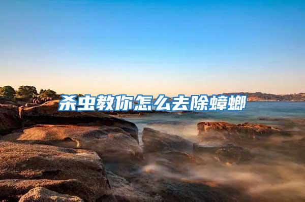 殺蟲(chóng)教你怎么去除蟑螂