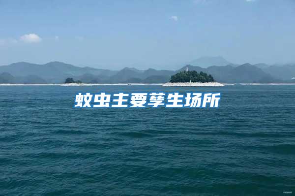 蚊蟲主要孳生場(chǎng)所