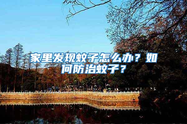 家里發現蚊子怎么辦？如何防治蚊子？