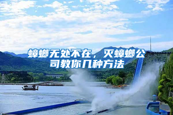 蟑螂無處不在，滅蟑螂公司教你幾種方法