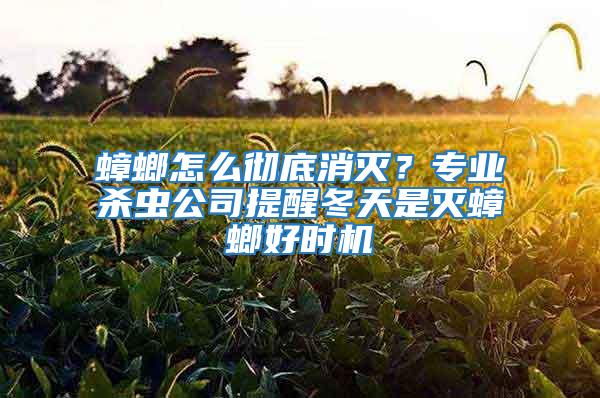 蟑螂怎么徹底消滅？專業(yè)殺蟲公司提醒冬天是滅蟑螂好時(shí)機(jī)