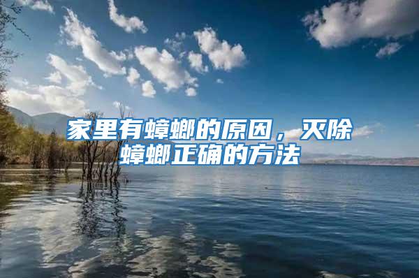 家里有蟑螂的原因，滅除蟑螂正確的方法