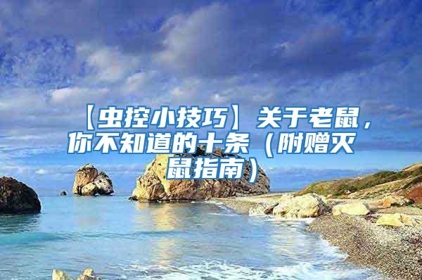 【蟲控小技巧】關于老鼠，你不知道的十條（附贈滅鼠指南）