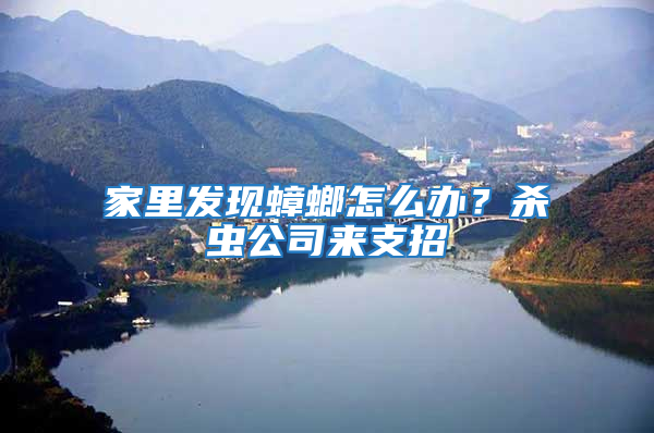 家里發(fā)現(xiàn)蟑螂怎么辦？殺蟲公司來支招