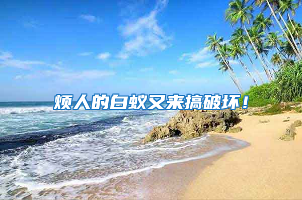 煩人的白蟻又來(lái)搞破壞！