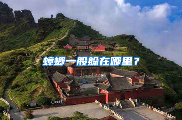 蟑螂一般躲在哪里？