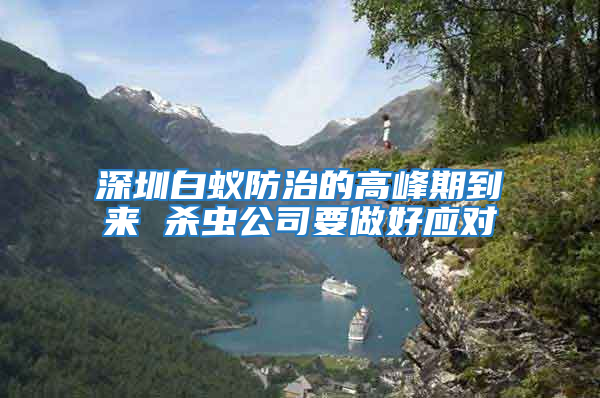 深圳白蟻防治的高峰期到來 殺蟲公司要做好應(yīng)對