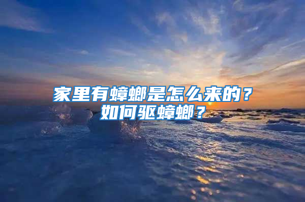 家里有蟑螂是怎么來(lái)的？如何驅(qū)蟑螂？
