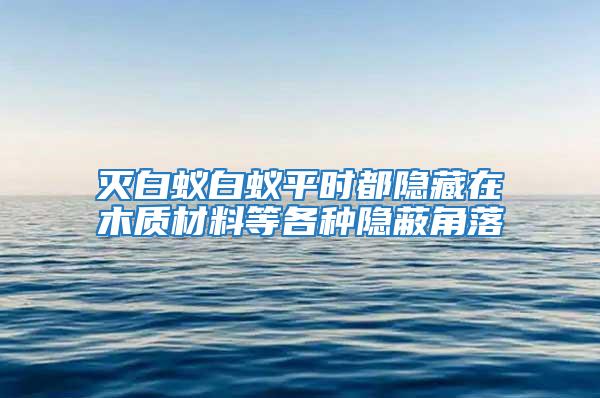 滅白蟻白蟻平時(shí)都隱藏在木質(zhì)材料等各種隱蔽角落