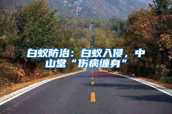 白蟻防治:白蟻入侵,中山堂“傷病纏身”