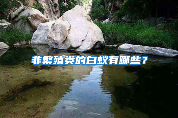 非繁殖類的白蟻有哪些？