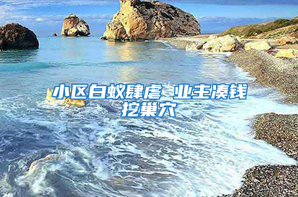 小區(qū)白蟻肆虐 業(yè)主湊錢挖巢穴