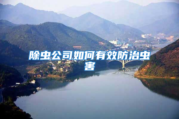 除蟲(chóng)公司如何有效防治蟲(chóng)害