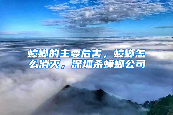 蟑螂的主要危害，蟑螂怎么消滅，深圳殺蟑螂公司