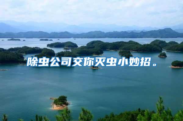 除蟲公司交你滅蟲小妙招。