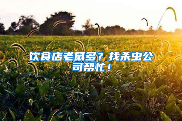 飲食店老鼠多？找殺蟲公司幫忙！