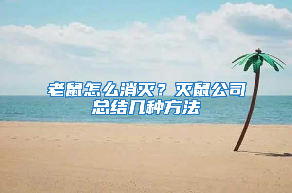 老鼠怎么消滅？滅鼠公司總結幾種方法