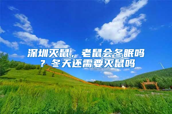 深圳滅鼠，老鼠會冬眠嗎？冬天還需要滅鼠嗎