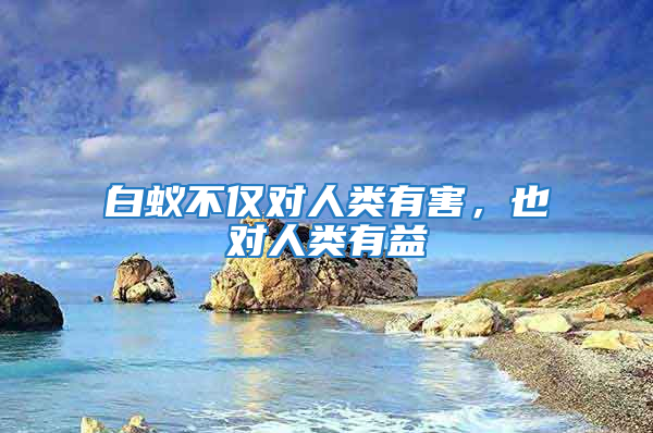 白蟻不僅對人類有害，也對人類有益