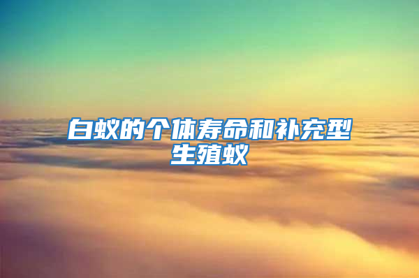 白蟻的個(gè)體壽命和補(bǔ)充型生殖蟻