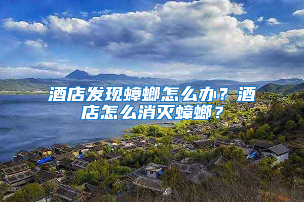 酒店發(fā)現(xiàn)蟑螂怎么辦？酒店怎么消滅蟑螂？