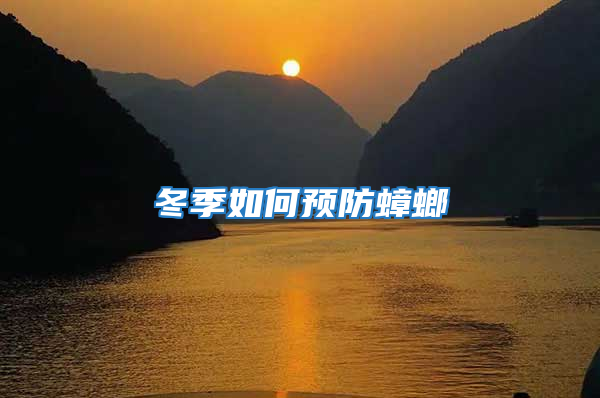 冬季如何預(yù)防蟑螂