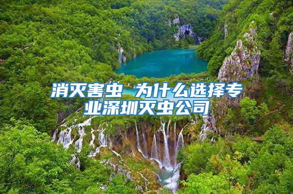 消滅害蟲(chóng) 為什么選擇專業(yè)深圳滅蟲(chóng)公司
