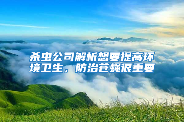 殺蟲公司解析想要提高環境衛生，防治蒼蠅很重要
