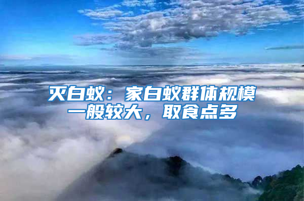 滅白蟻：家白蟻群體規(guī)模一般較大，取食點(diǎn)多