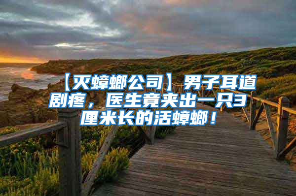 【滅蟑螂公司】男子耳道劇疼，醫(yī)生竟夾出一只3厘米長的活蟑螂！