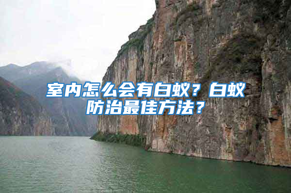 室內(nèi)怎么會有白蟻？白蟻防治最佳方法？