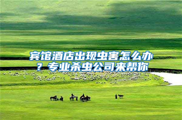 賓館酒店出現(xiàn)蟲害怎么辦？專業(yè)殺蟲公司來幫你