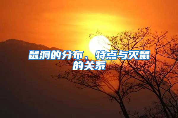 鼠洞的分布、特點與滅鼠的關系