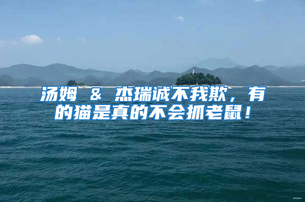 湯姆 & 杰瑞誠(chéng)不我欺，有的貓是真的不會(huì)抓老鼠！