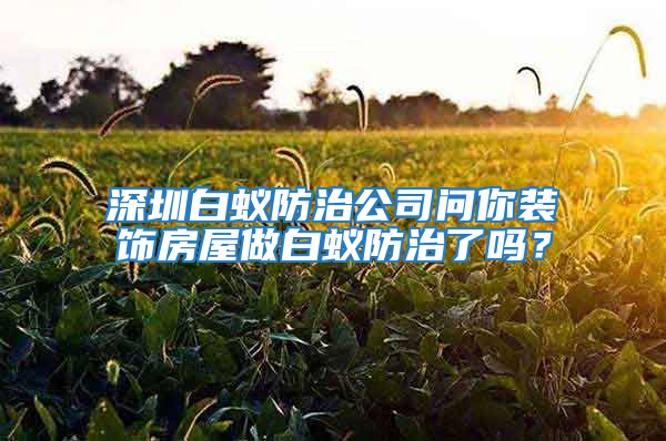 深圳白蟻防治公司問你裝飾房屋做白蟻防治了嗎？