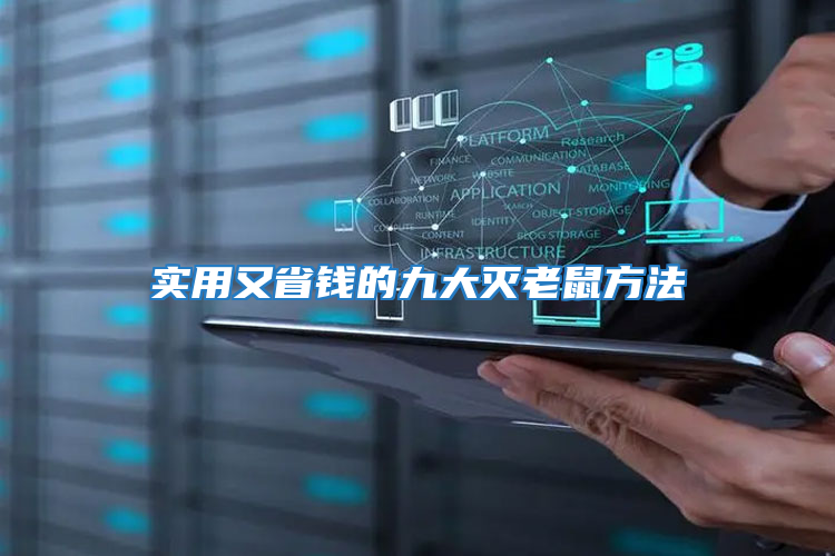 實用又省錢的九大滅老鼠方法