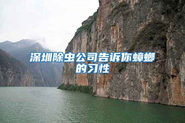 深圳除蟲公司告訴你蟑螂的習(xí)性