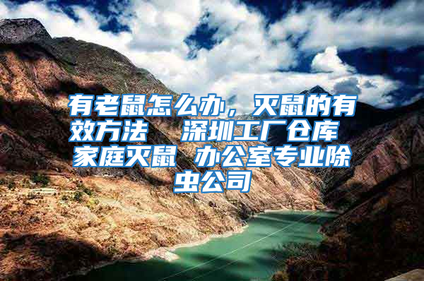 有老鼠怎么辦，滅鼠的有效方法  深圳工廠倉(cāng)庫(kù) 家庭滅鼠 辦公室專業(yè)除蟲(chóng)公司