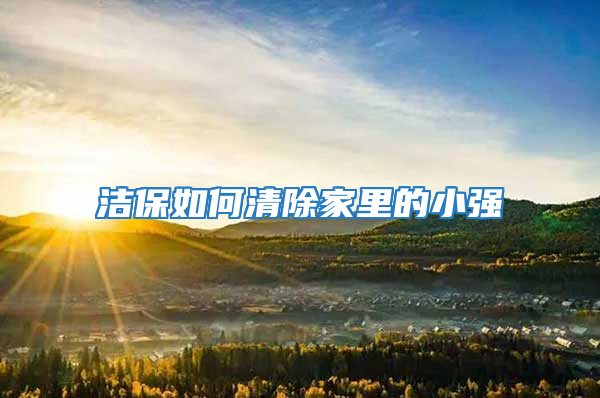 潔保如何清除家里的小強(qiáng)